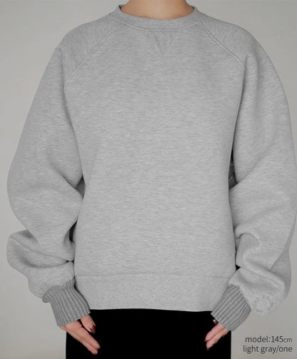 raglan sweat pullover